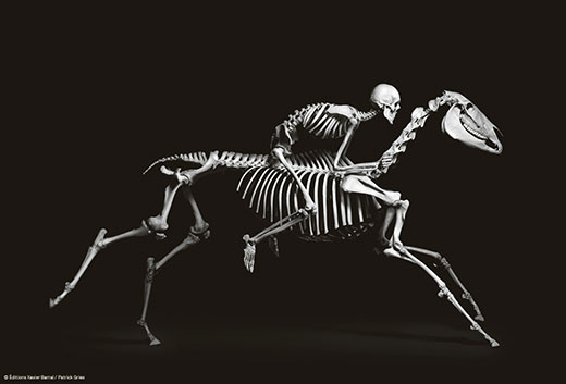 A human skeleton riding a running horse skeleton
