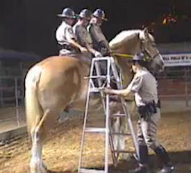 Hercules the Police horse ridden by three officers at California State Fair 2008